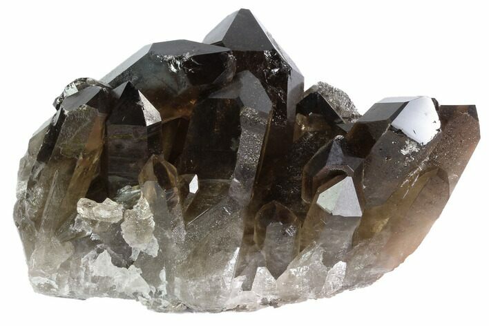 Dark Smoky Quartz Crystal Cluster - Brazil #84840